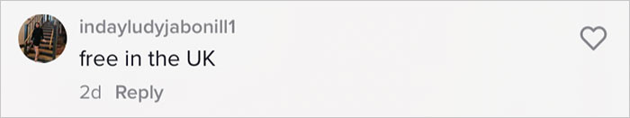 The British don't spend a penny on healthcare