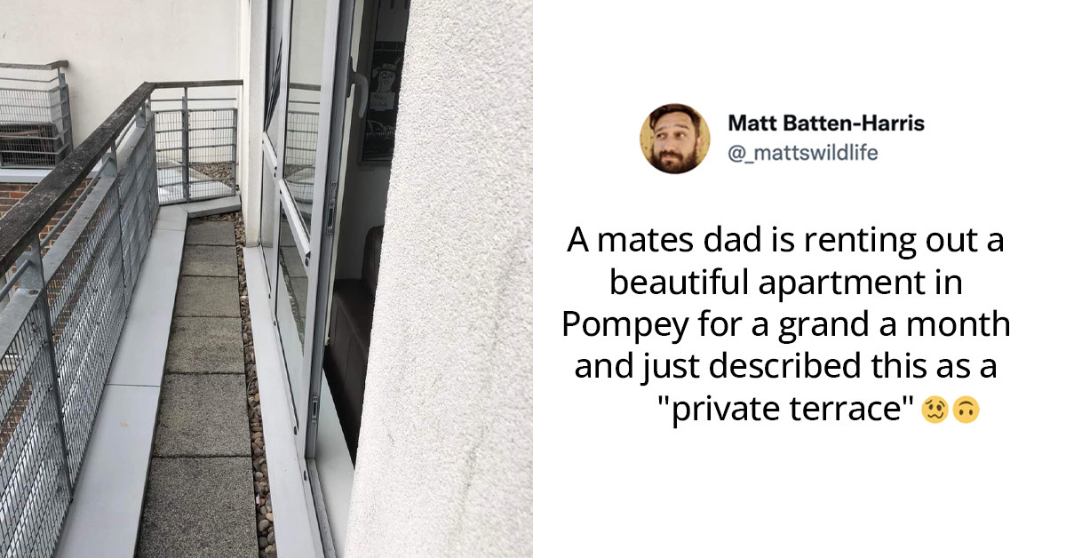 30 Upsetting Times When Tenants Had To Deal With The Horrible Conditions Their Landlords Left Them In Will Leave You Speechless