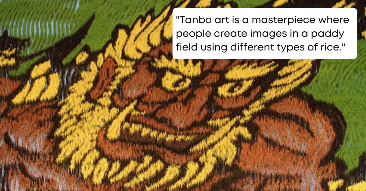 Tiny Japanese Village Inakadate Became Popular For Its Impressive Colorful Rice Field Art