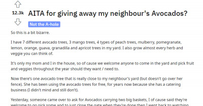 A Neighbor Got Mad After The Avocados That She Gets For Free Was Given To Other People