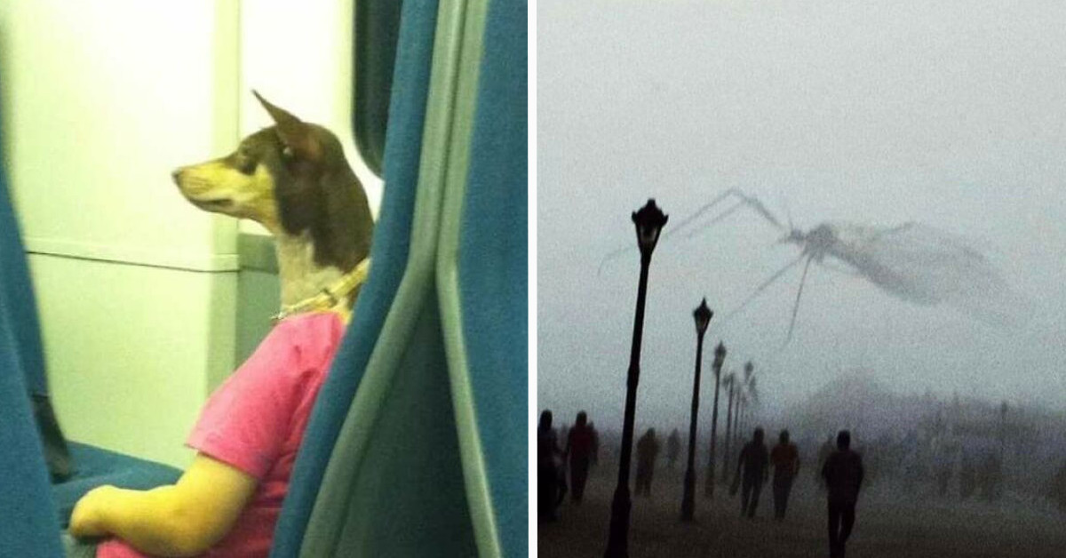 50 Baffling Pictures That Force You To Look Twice So You Can Discover How Awesome Or Scary They Actually Are