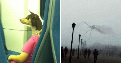 50 Baffling Pictures That Force You To Look Twice So You Can Discover How Awesome Or Scary They Actually Are