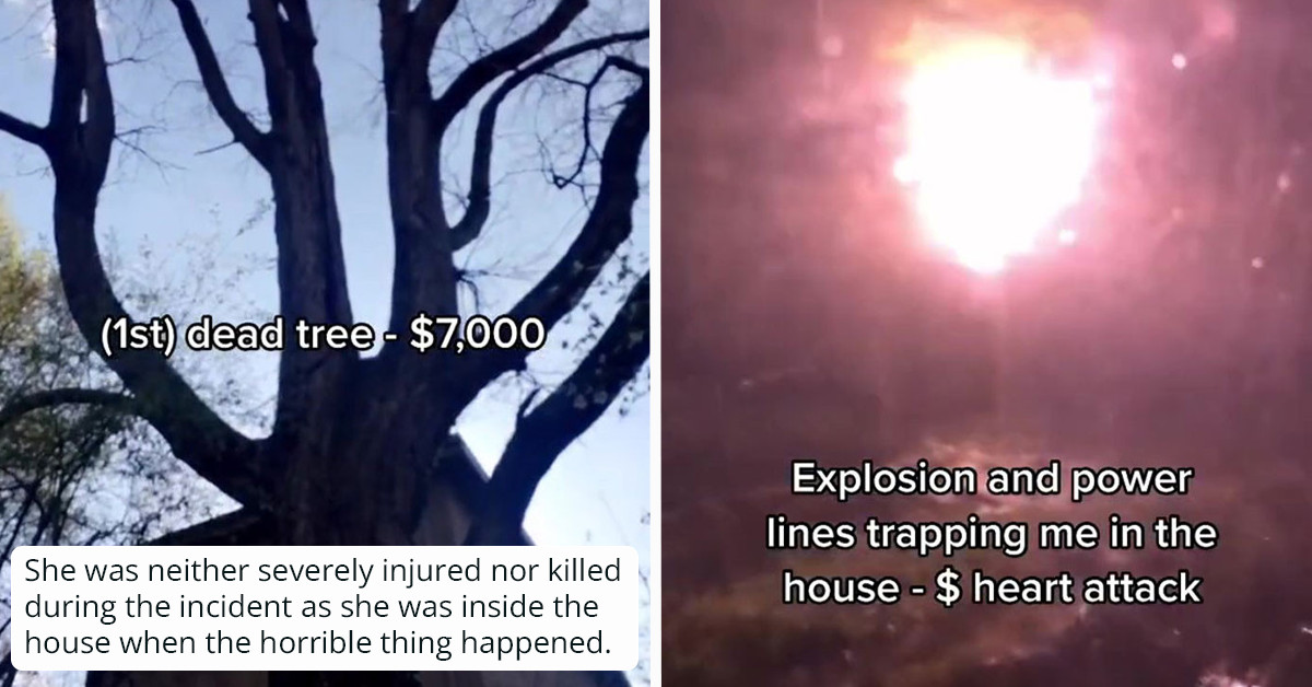 Woman Bought A Disaster-Stricken House That Was Destroyed When A Huge Tree Fell On It