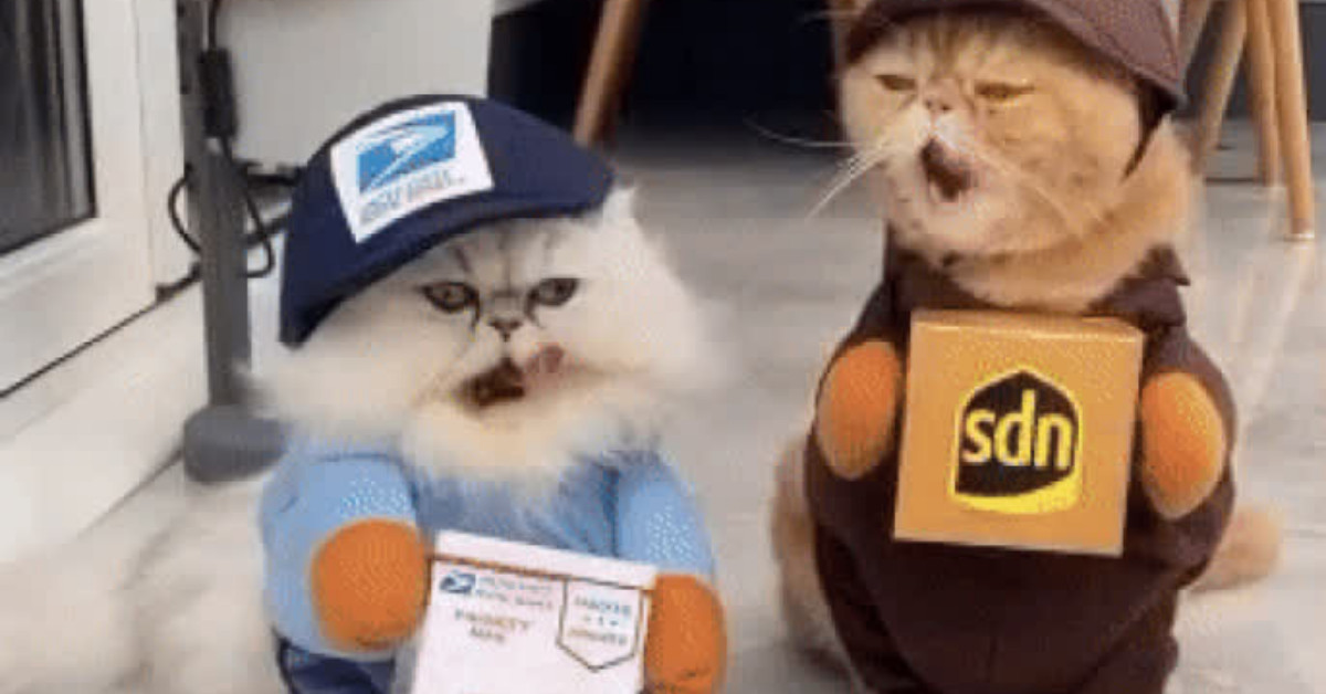 Dressed Up As Package Deliverers For Halloween, And They Look Purrfect