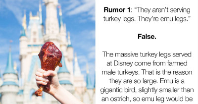 Disneyworld Exposed: How Much Truth Is In The Parks’ Most Common Rumors
