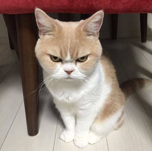 8.