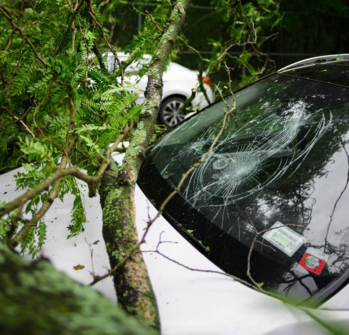 5. So many coincidences