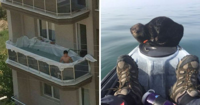 10+ Things That Actually Happened With "Pics Or It Didn't Happen" Proof