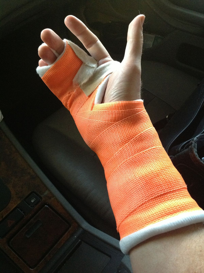 IShallPetYourDogo says: