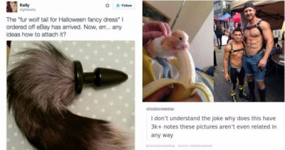 10+ Times Tumblr Was Way Too Innocent For The Internet
