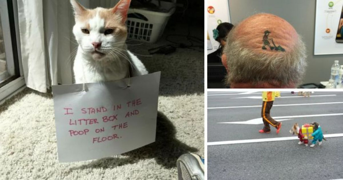 These People Share Photos Of Their Fantastic Sense Of Humor