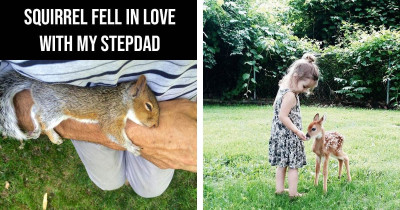 Cute Moments Where People's Lives Suddenly Turned Into Disney Movies