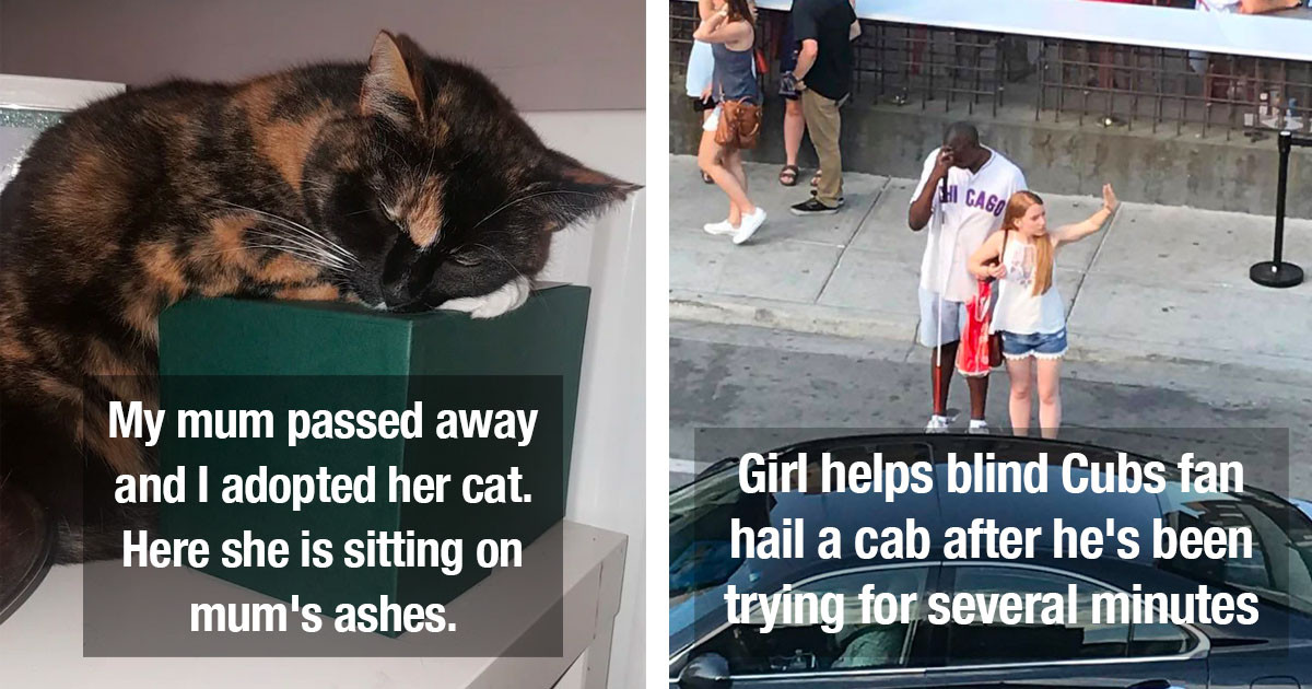 Wholesome Pics That Prove Our Society Is Far From Broken and That There's Still Plenty of Hope Left