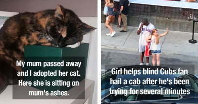 Wholesome Pics That Prove Our Society Is Far From Broken and That There's Still Plenty of Hope Left