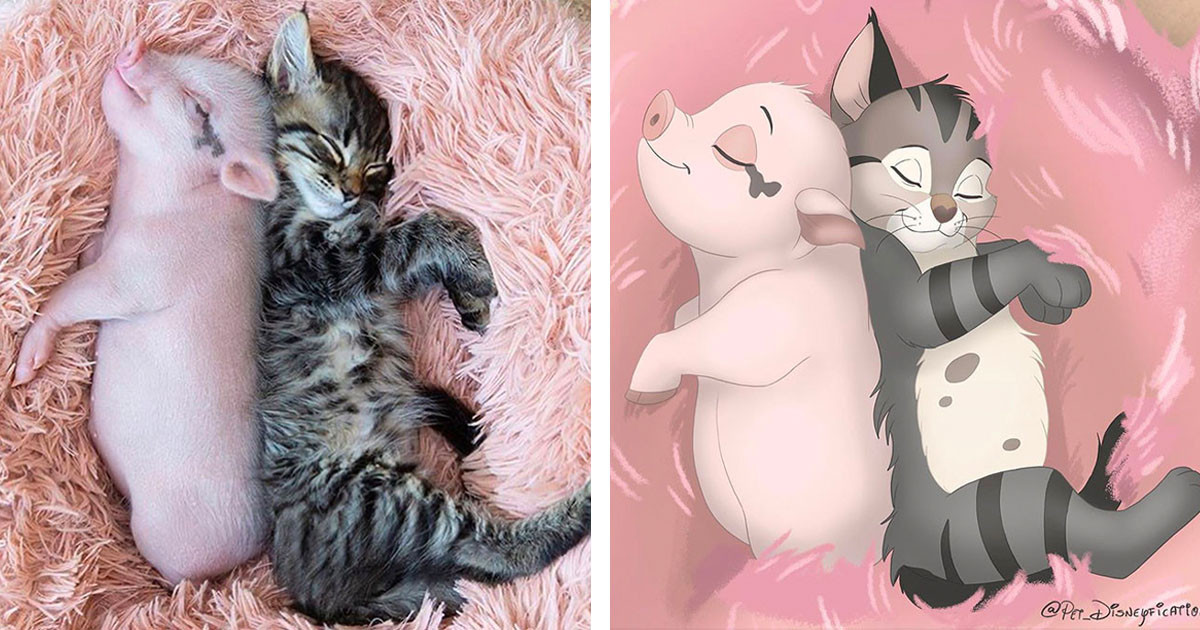 Insanely Talented Artist Takes Your Pet's Photo & Turns It Into A Disney Character