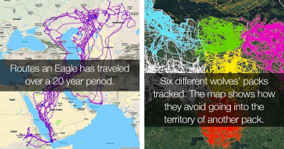 Take A Look At These 21 Maps That Show The World Around Us From A Different Perspective