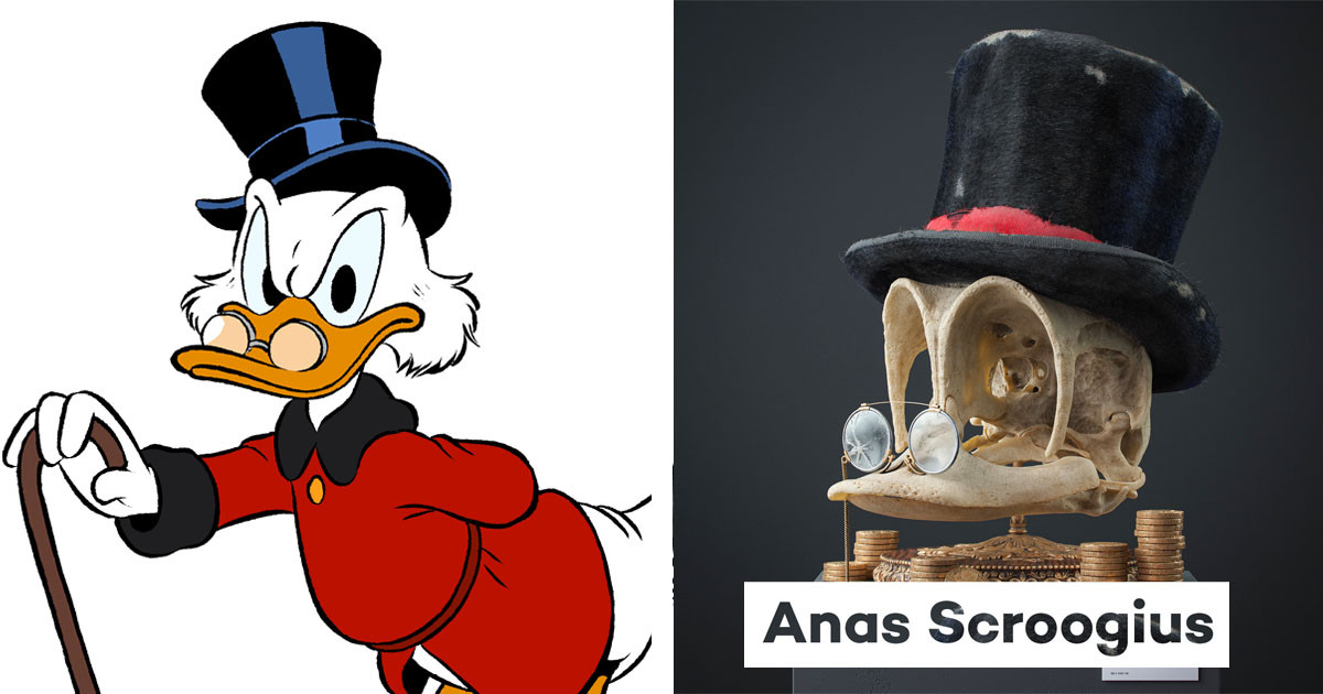 Czech Artist Creates 'Anatomically Correct' Skulls of Your Favorite Disney and Childhood Cartoon Characters