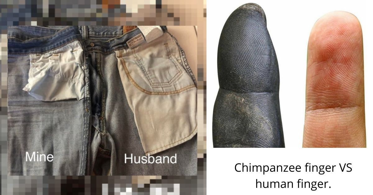 25 Really Cool Photos That Will Completely Change Your Perspective