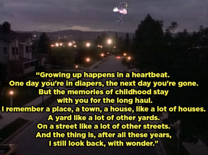 10. The Wonder Years