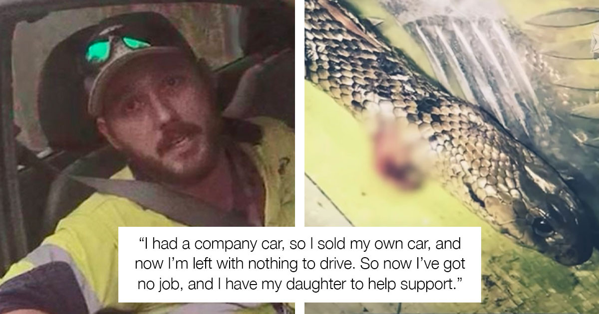 Man From Australia Loses His Job After Speeding Because There Was A Snake In His Car