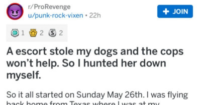 Woman Goes John Wick On Escort Who Stole Her Dog