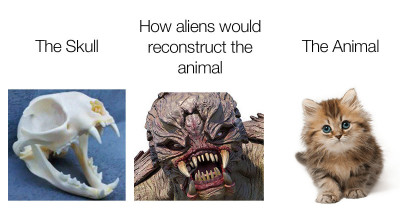 People Guess What Aliens Would Reconstruct Animal Skulls To Look Like and The Results Are Quite Different To Reality