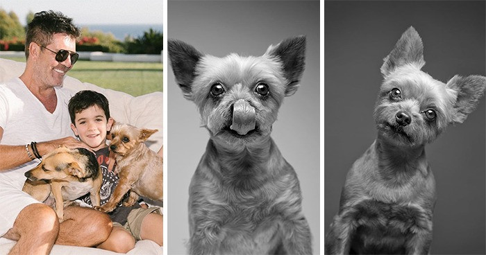 21. Simon Cowell & Daisy, Freddie, Squiddly, Diddly