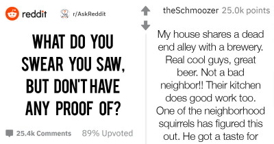 People Share Things That They Swear Actually Happened — But Can’t Prove It
