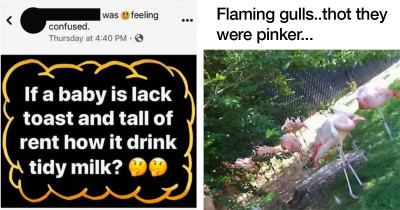 12 People Who Couldn't Be Dumber If They Tried