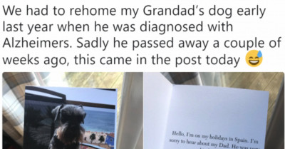 10 Cutest Tweets That Will Restore Your Faith in Humanity