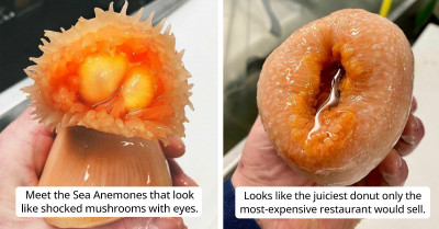 Russian Fisherman Posts 30 Pictures Of Terrifying Deep-Sea Creatures That'll Haunt Your Memories For A Long Time