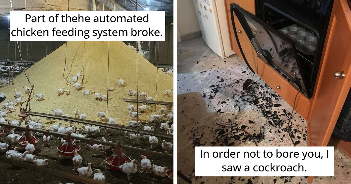 30 Times People Shared What Happened To Their Homes Online, And They Are Both Hilarious And Sad