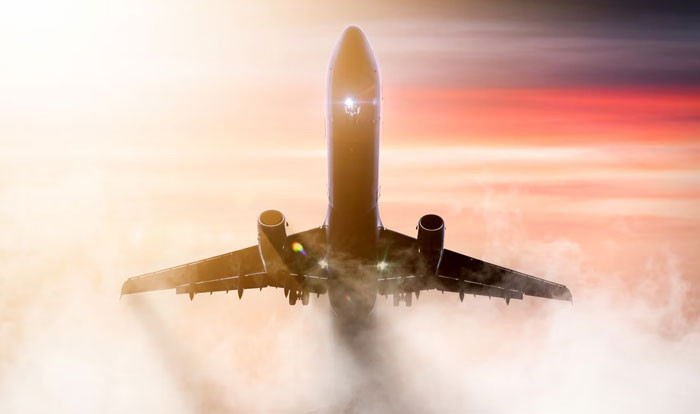 26. Plane crash survivor