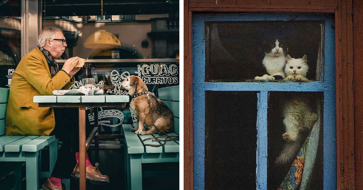 30 Street Photographs From An Instagram Account With Over Half A Million Followers Will Make You Smile And Laugh