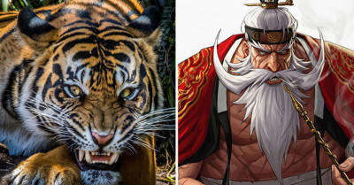 Artist Re-imagines Animals As Anime Characters