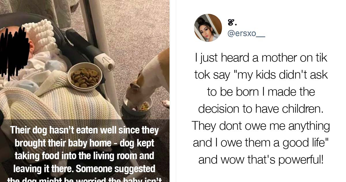 50 Absolutely Wholesome Photos To Brighten Up Your Day