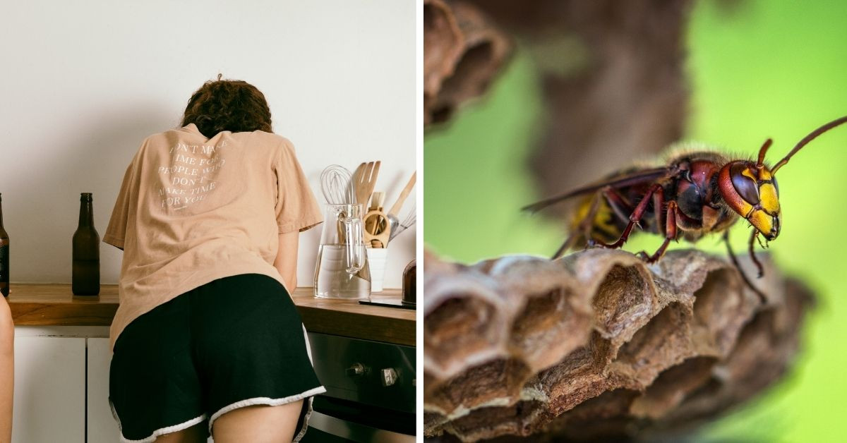 Doctors Slam A New Trend That Claims Wasp Nests Can Rejuvenate The Vagina