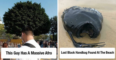 30 Times Misleading Captions Were Shared That Completely Change How We See The Photo