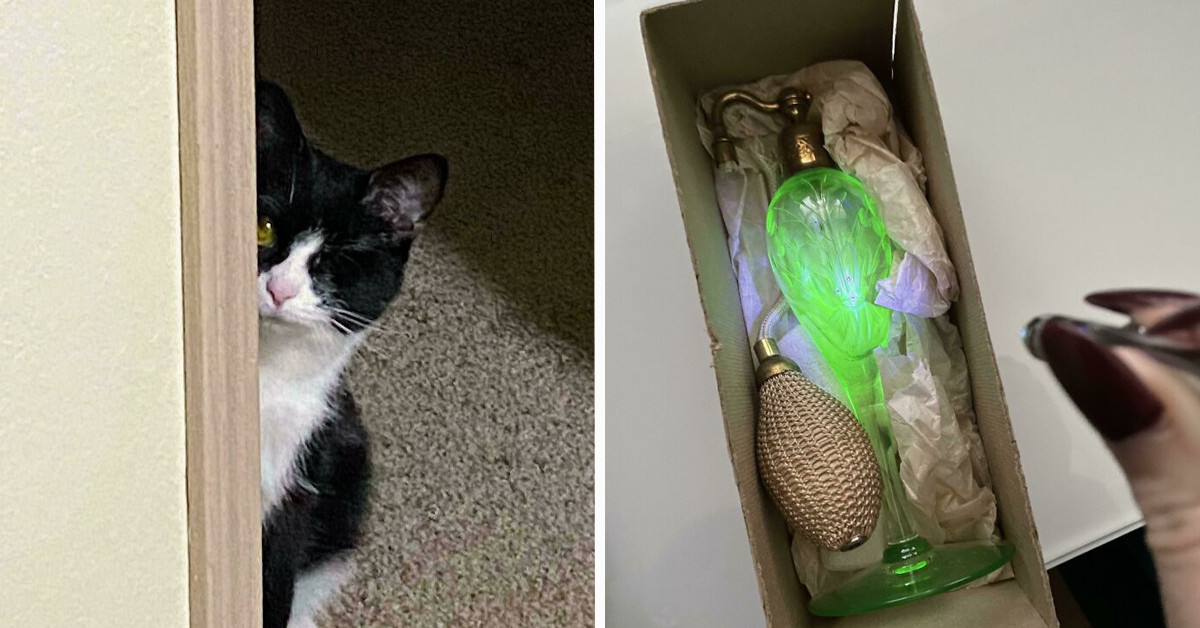 50 Pictures Shared By An Online Group Of Mildly Fascinating Things Which You Can Find All Around You