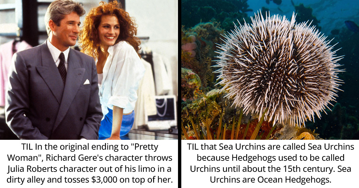 35 Redditors Share Some New And Interesting Knowledge They've Gained