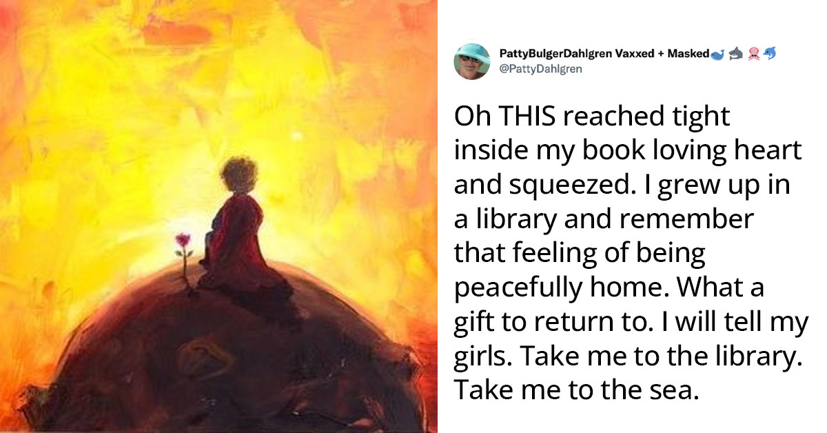 30+ People Online Share Stories Of How They Found Comfort In Libraries