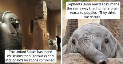 Top 50 Of The Most Intriguing And Surprising Facts About The World That Will Leave You Astounded