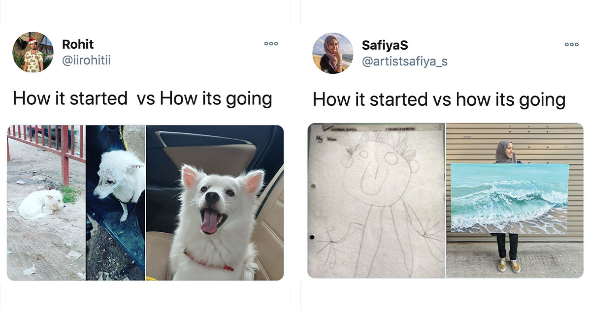 40 Of The Best Replies To The Viral "How It Started Vs. How It Ended" Meme Challenge