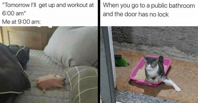 50 Hilarious Pictures of Sarcastic Memes Shared by an Instagram Account That Will Certainly Entertain You