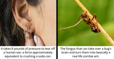 30 Redditors Share Some Unsettling Facts That People Would Rather Not Know