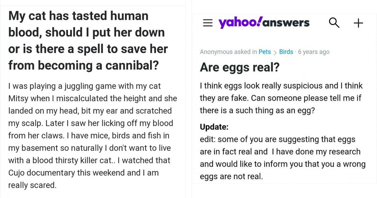 In Memory Of Yahoo Answers Shutting Down Forever Here Are Some Of The Best Questions