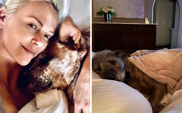 4. Charlize Theron & Johnny Utah, Berkley