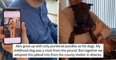 Couple Shows 10 Main Differences of Growing Up in Different Classes on TikTok