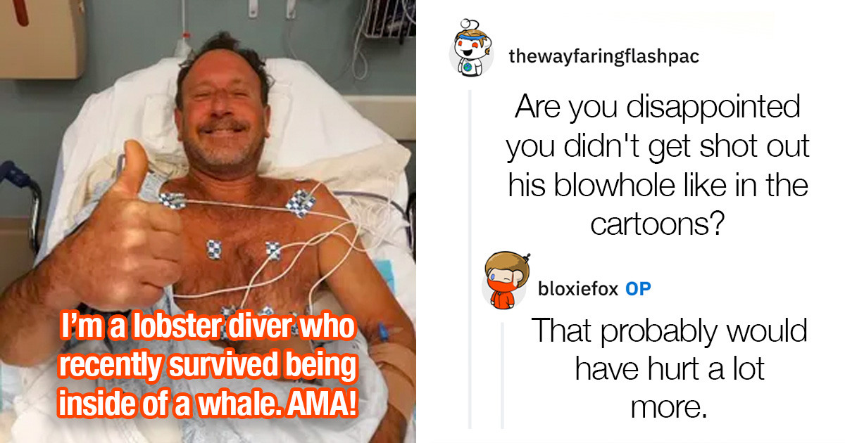 30 Of The Best Questions And Answers From A Man Who Survived Almost Being Swallowed By A Humpback Whale
