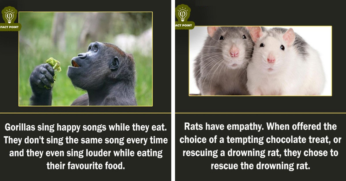 Twitter Account Named "Fact Point" Will Blow Your Mind With Intriguing and Surprising Truths About Anything Under the Sun